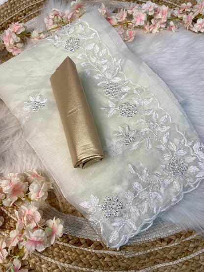 Pure Organza Saree with All-Over Thread & Siroski Work