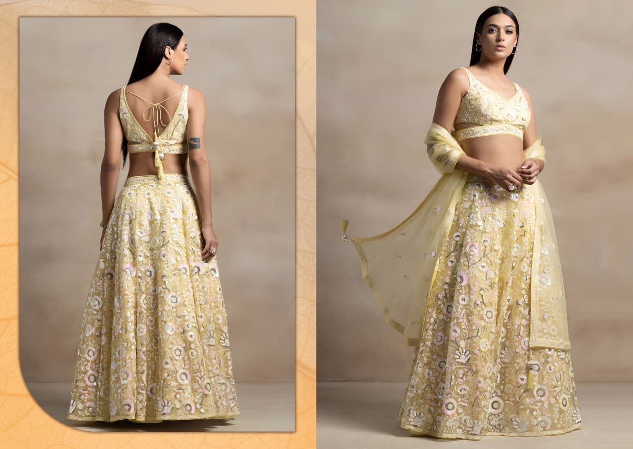 Softnet Lehenga with thread and sequin embroidery
