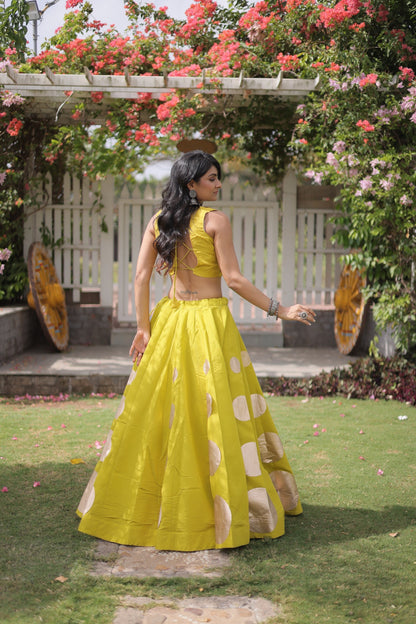 Roman Silk Polka Dot Lehenga Set with Mirror Work Choli