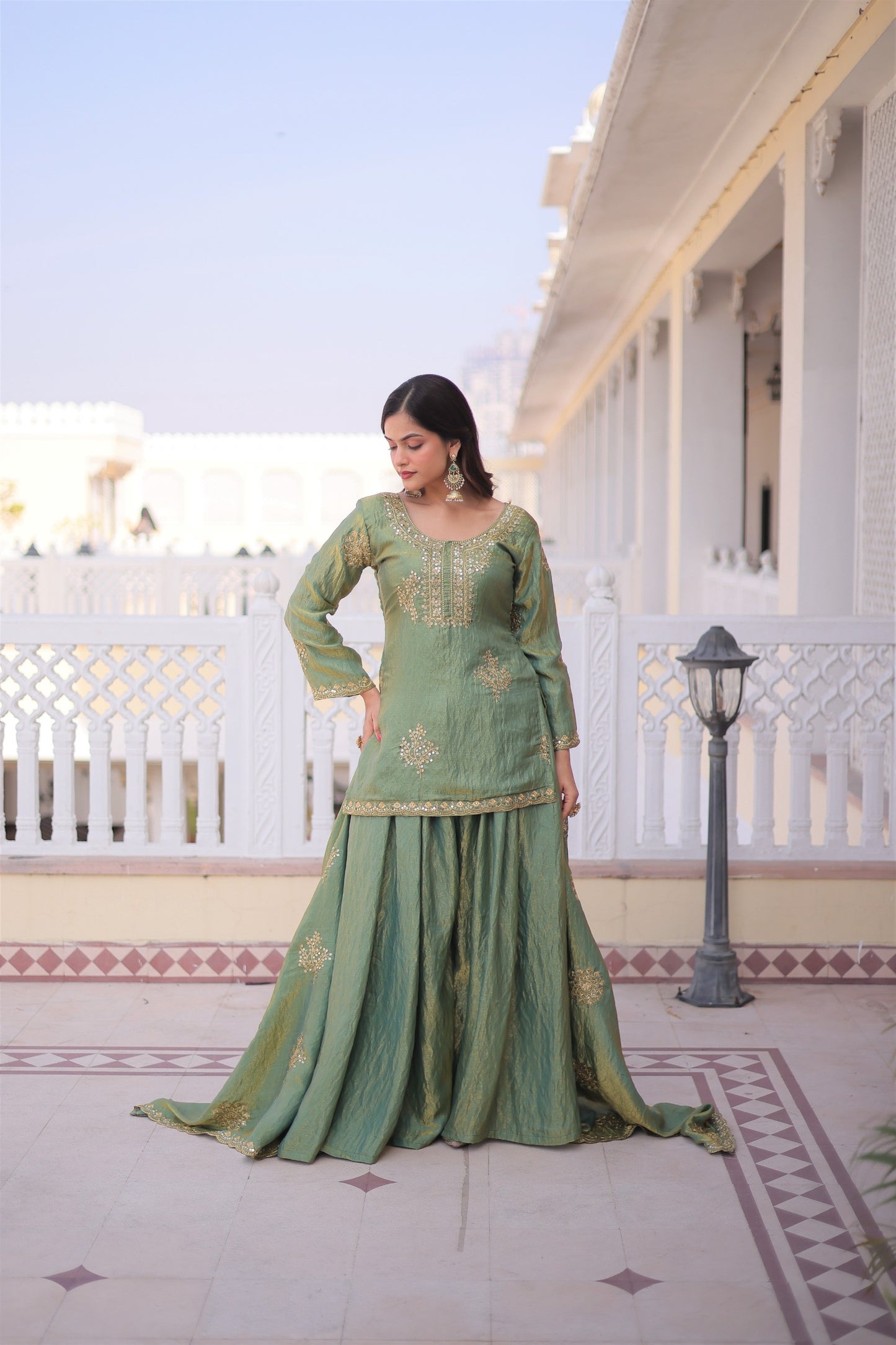 Traditional Elegant Multi Tonal Sharara Set