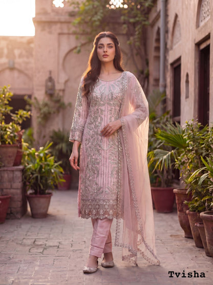 Intricate Silver Threadwork Soft Net Ethnic Suit