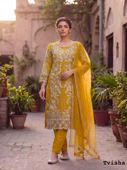 Intricate Silver Threadwork Soft Net Ethnic Suit