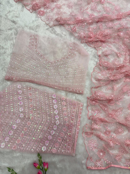 Blush Pink Butterfly Net Sequin Saree