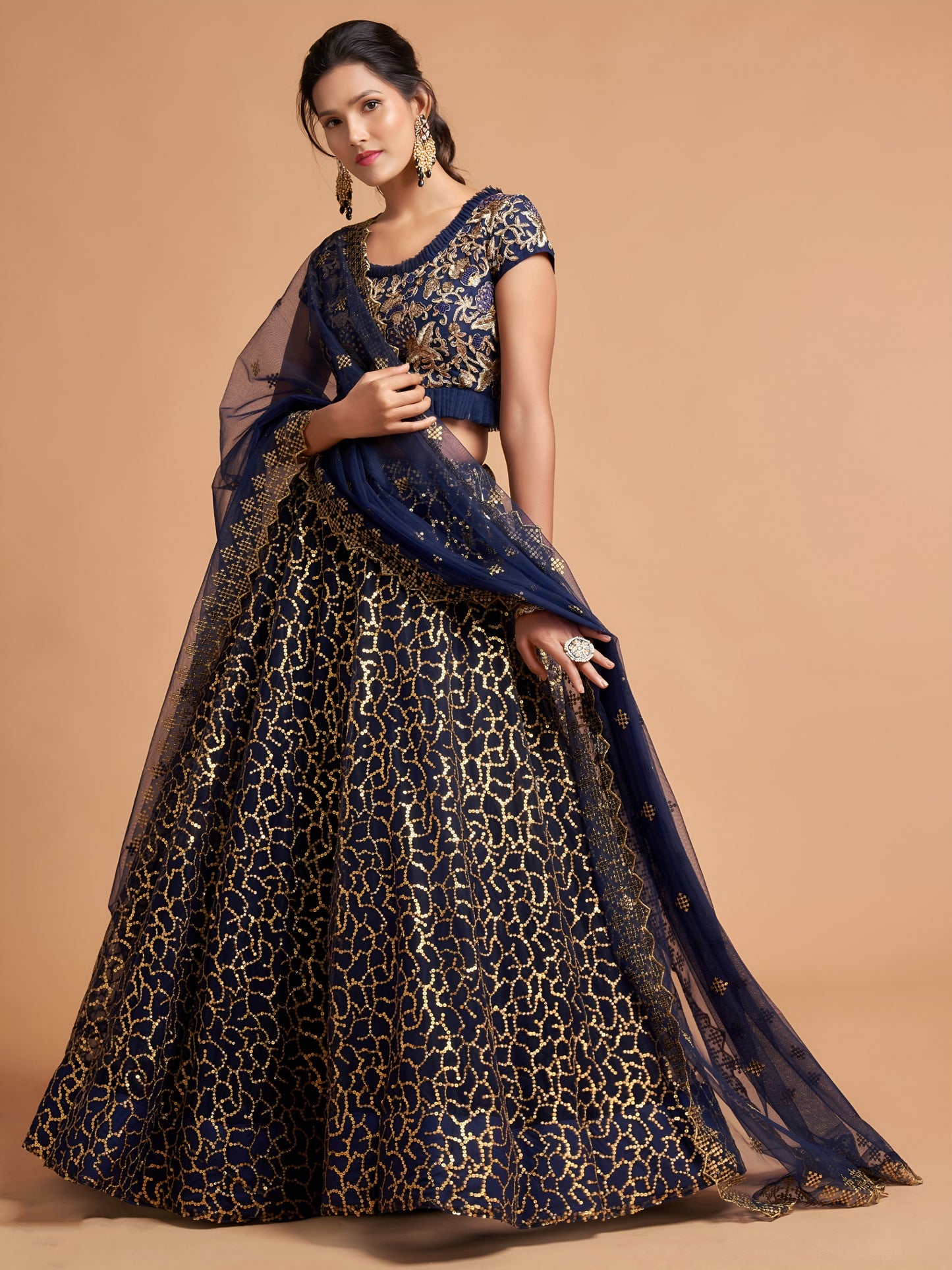 Navy Blue Sequins Embroidered Lehenga Choli