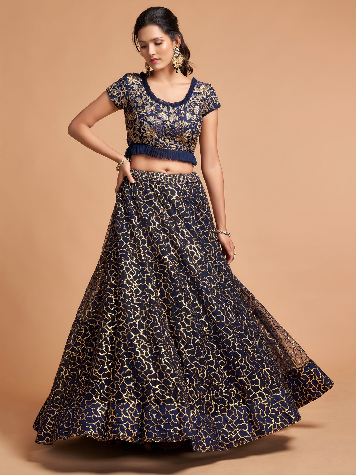 Navy Blue Sequins Embroidered Lehenga Choli