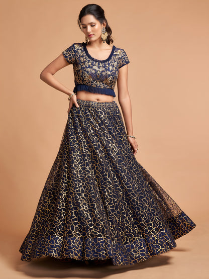 Navy Blue Sequins Embroidered Lehenga Choli