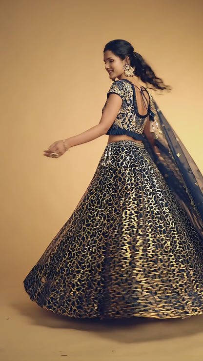 Navy Blue Sequins Embroidered Lehenga Choli